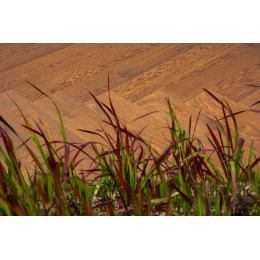 Женева 15x82.55x330.2мм Таверн