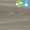 Дуб Шер Wood