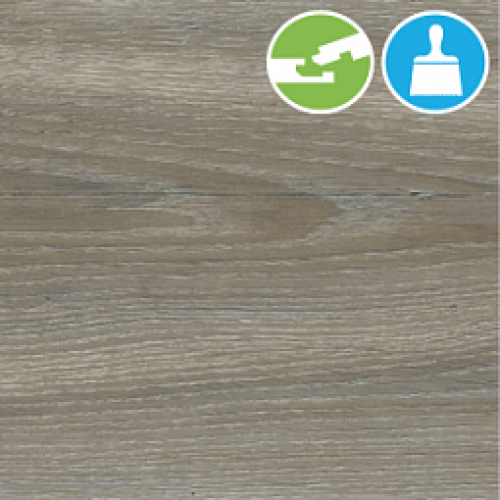 Дуб Шер Wood