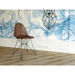 Дуб Фалькон Strong