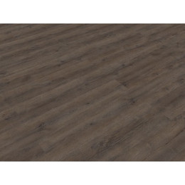 Дуб Квантум Strong