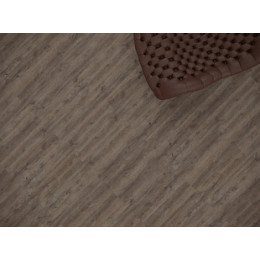 Дуб Квантум Strong