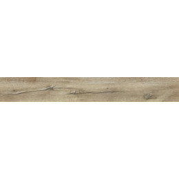 Дуб Мале Rich