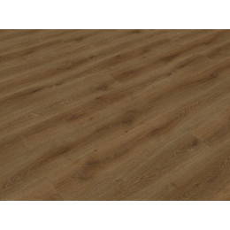 Дуб Октопус Strong