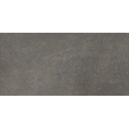 Дуб Шато Де Анжони Stone