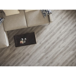 Дуб Колин Light