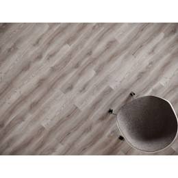 Дуб Котка Light