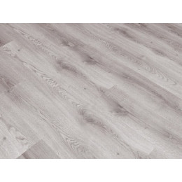 Дуб Котка Light