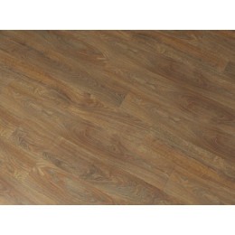 Дуб Катания Rich