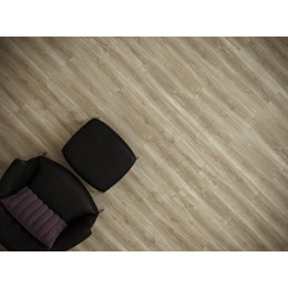 Дуб Макао Wood