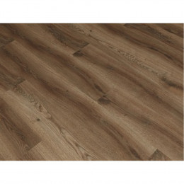 Дуб Брага Light