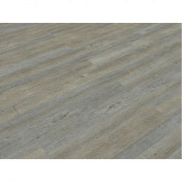 Дуб Адастра Strong