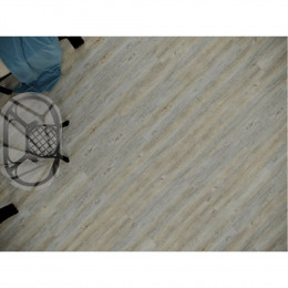 Дуб Адастра Strong