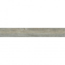 Дуб Адастра Strong